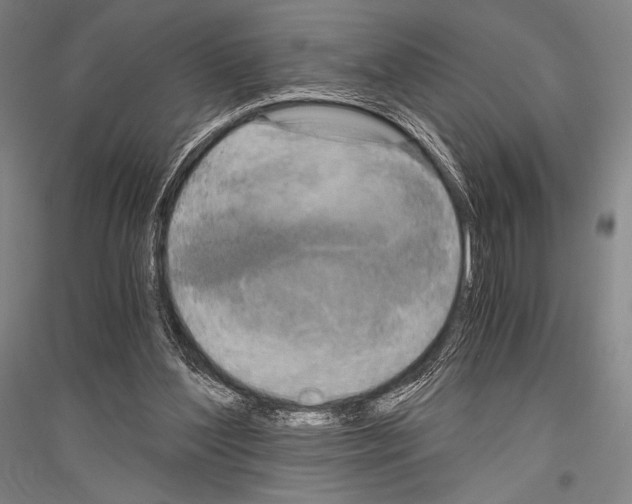 X0000116800204201001291547