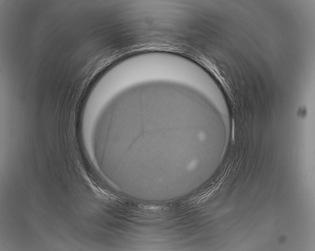 X0000116800205201001291547