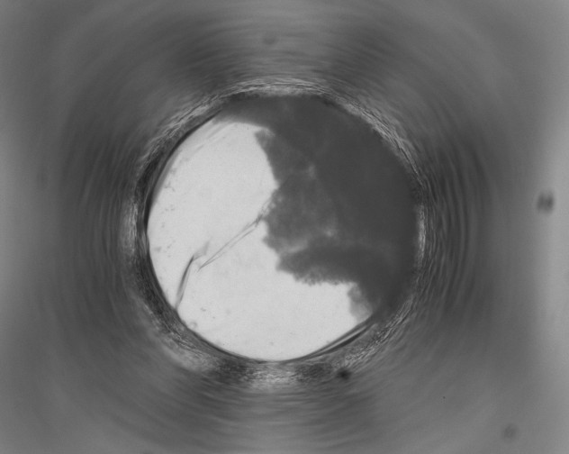 X0000116800206201001291547