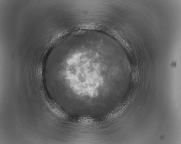 X0000116800207201001291547