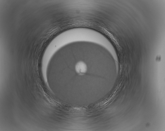 X0000116800209201001291547