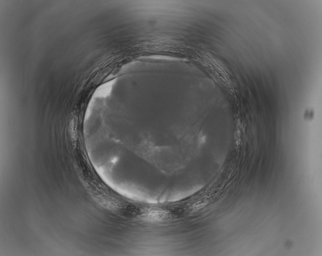 X0000116800210201001291547