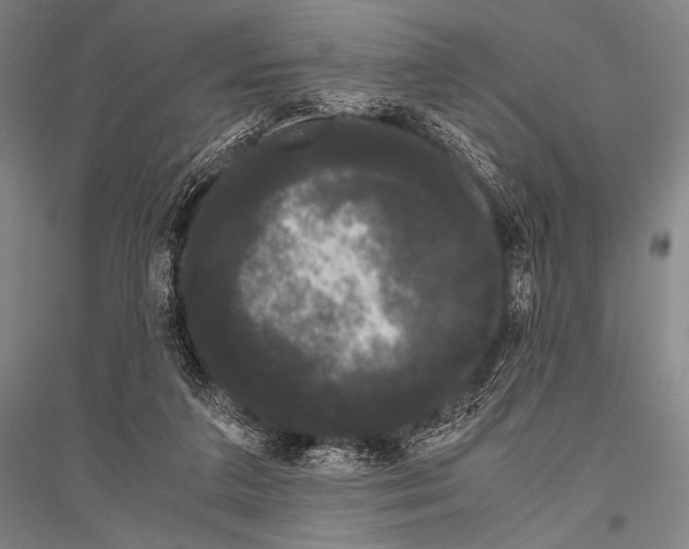 X0000116800211201001291547