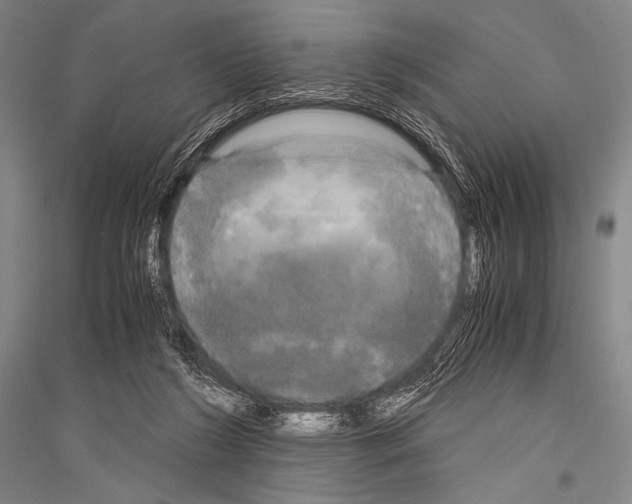 X0000116800212201001291547