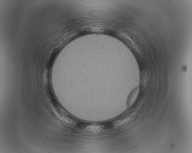 X0000116800213201001291547