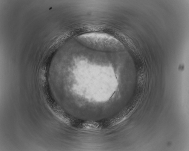 X0000116800215201001291547