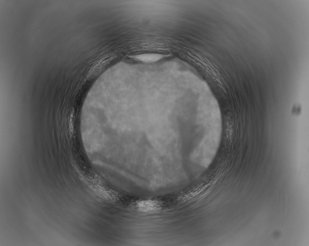 X0000116800216201001291547