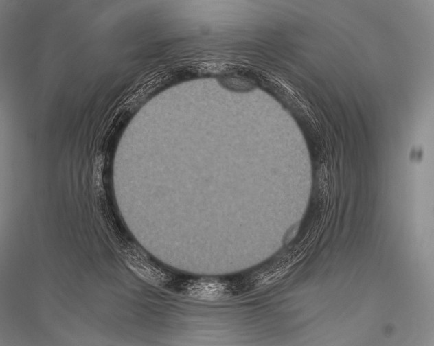 X0000116800217201001291547