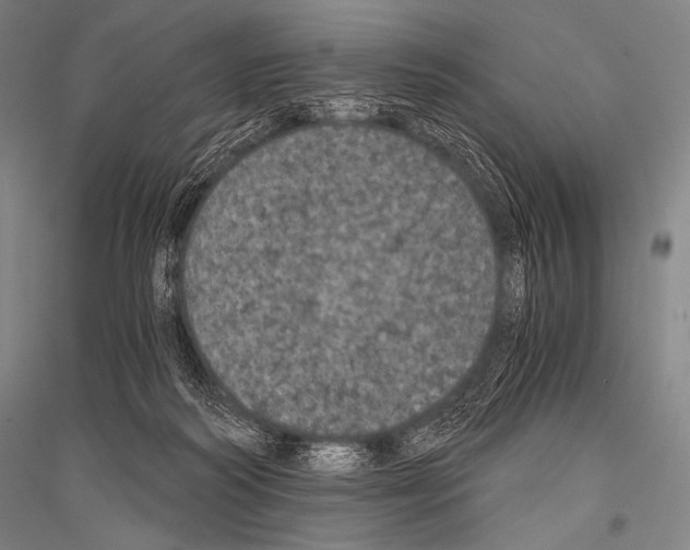 X0000116800218201001291547