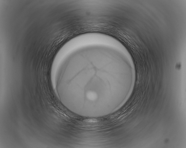 X0000116800219201001291547