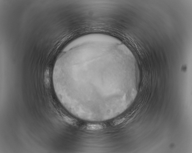 X0000116800220201001291547