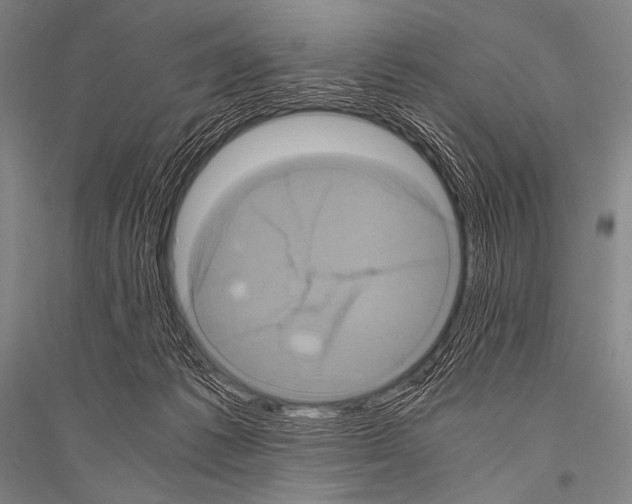 X0000116800221201001291547