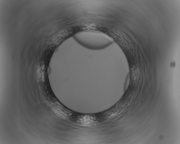 X0000116800223201001291547