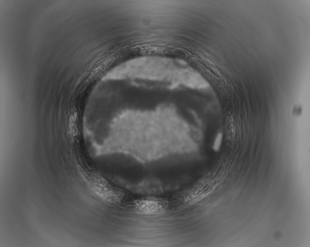 X0000116800224201001291547