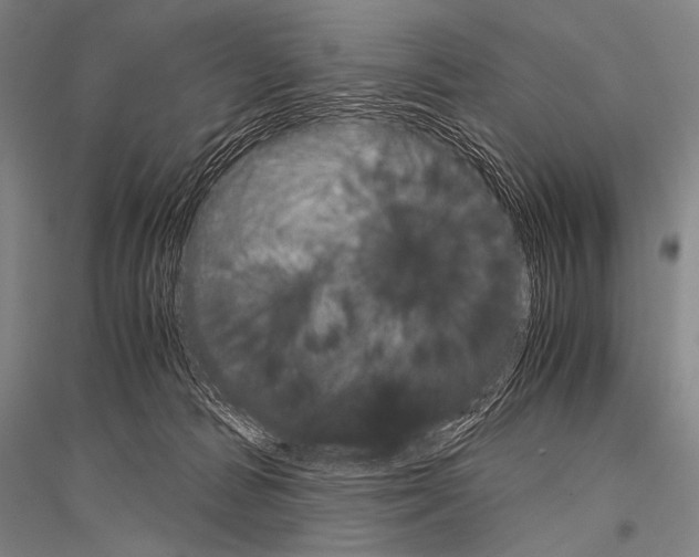 X0000116800226201001291547