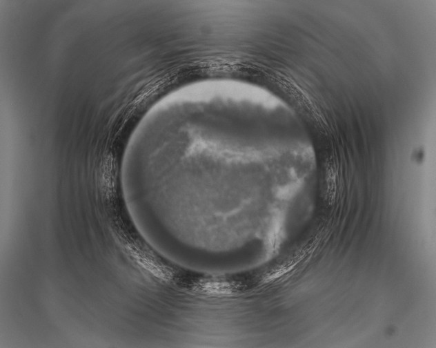 X0000116800228201001291547
