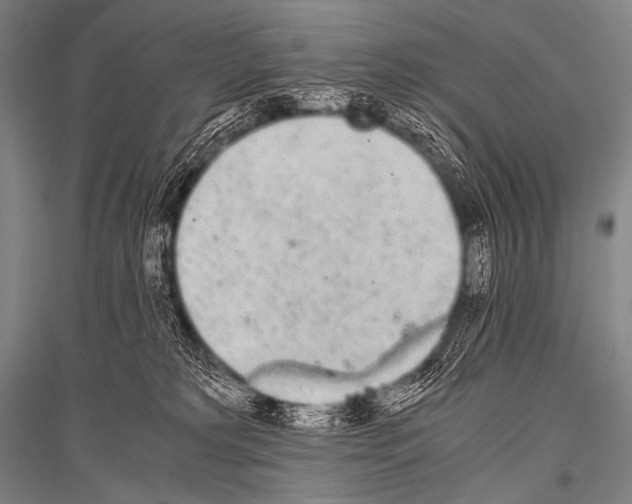 X0000116800229201001291547