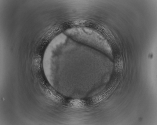 X0000116800231201001291547