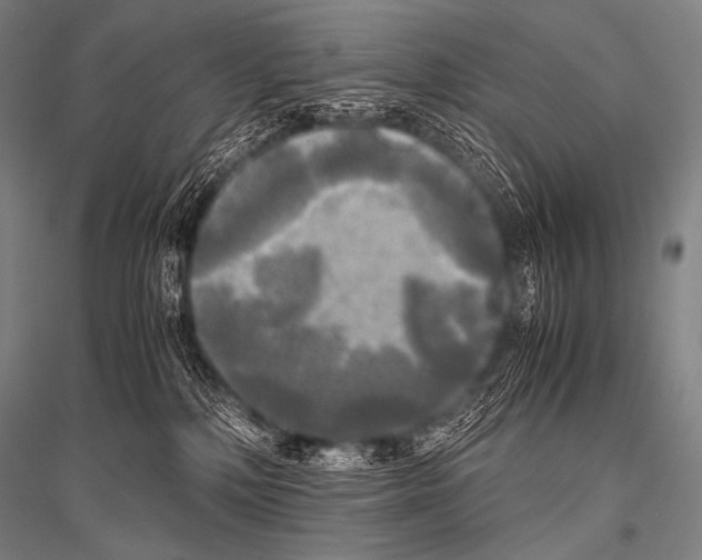 X0000116800232201001291547