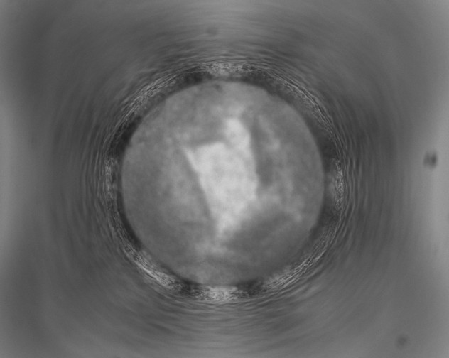 X0000116800233201001291547