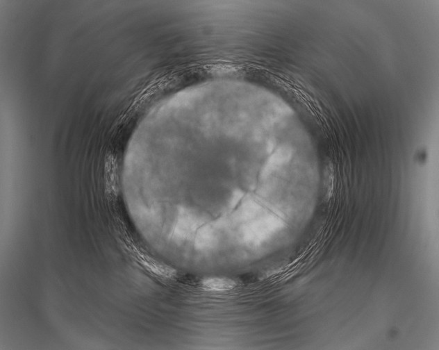 X0000116800234201001291547