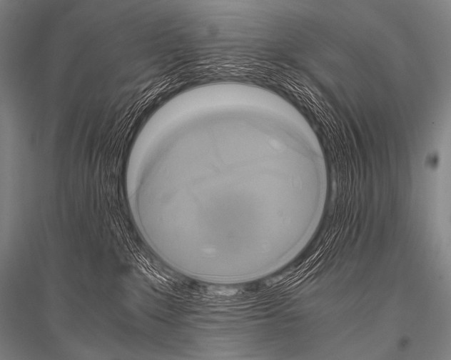 X0000116800235201001291547