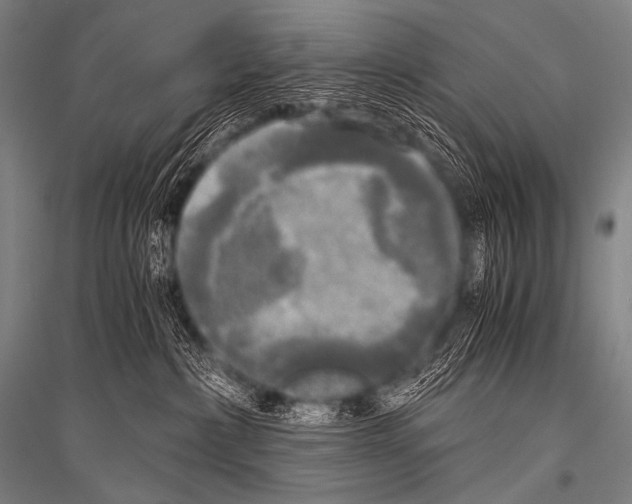 X0000116800236201001291547