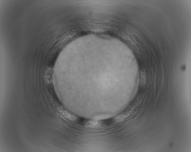 X0000116800237201001291547