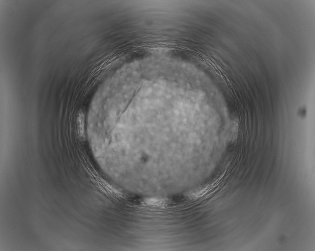 X0000116800238201001291547