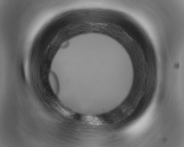 X0000116800239201001291547
