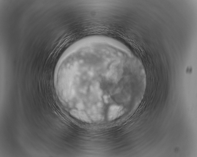 X0000116800240201001291547