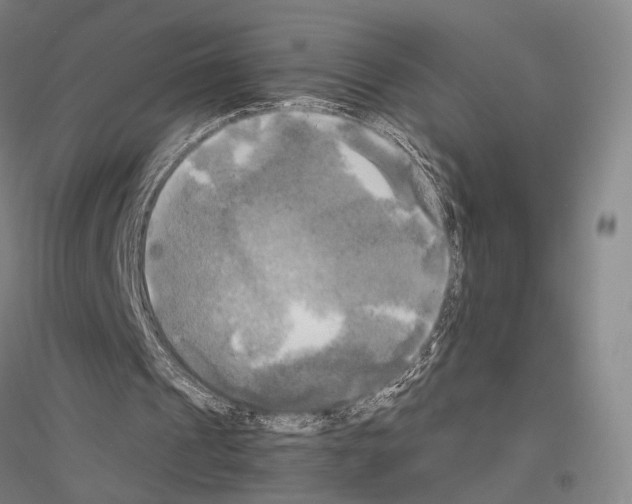 X0000116800241201001291546