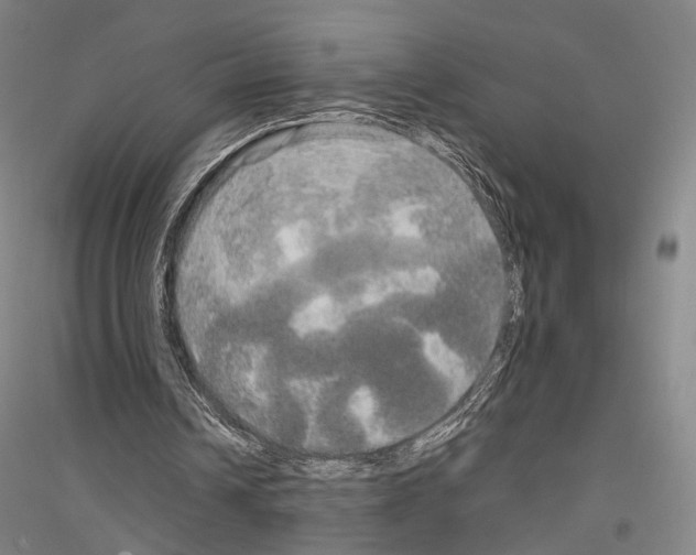 X0000116800242201001291546