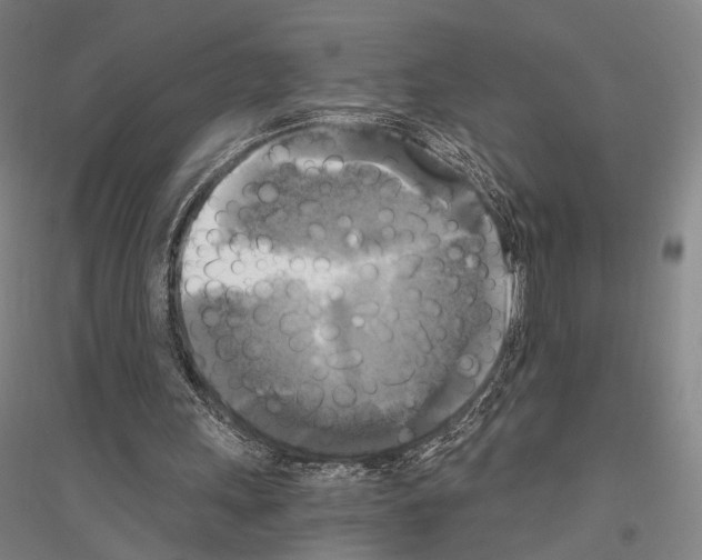 X0000116800243201001291546