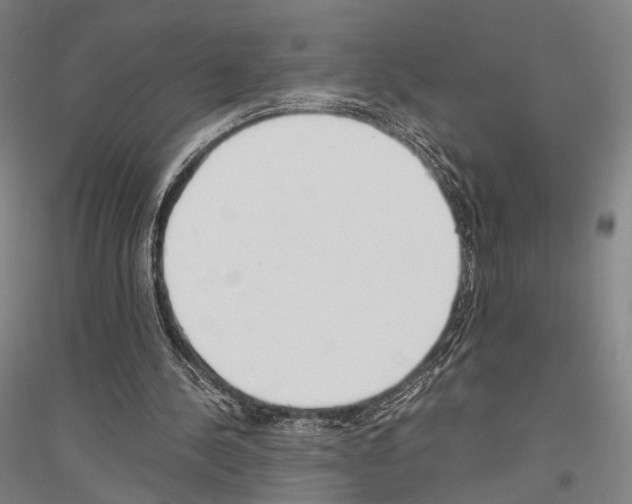 X0000116800244201001291546