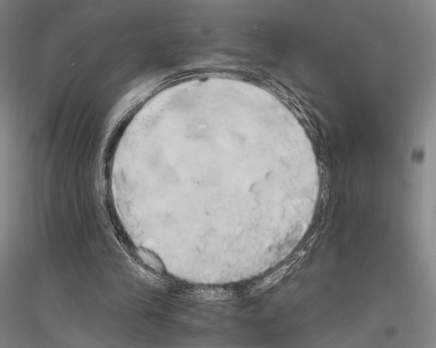 X0000116800245201001291546