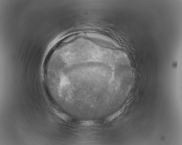 X0000116800246201001291546