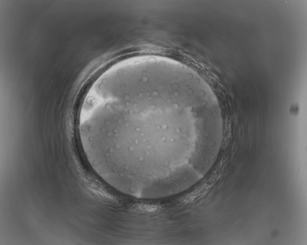 X0000116800247201001291546