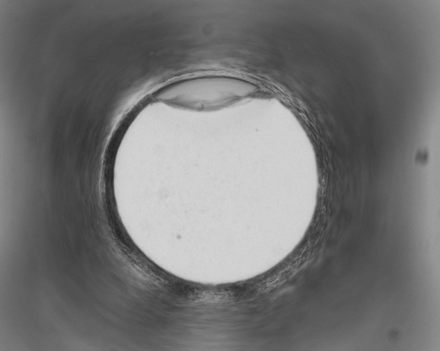 X0000116800248201001291546