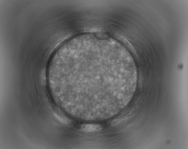 X0000116800251201001291546