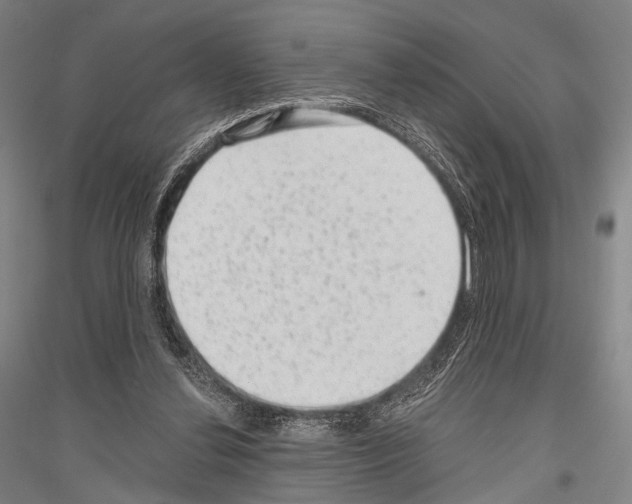 X0000116800252201001291546