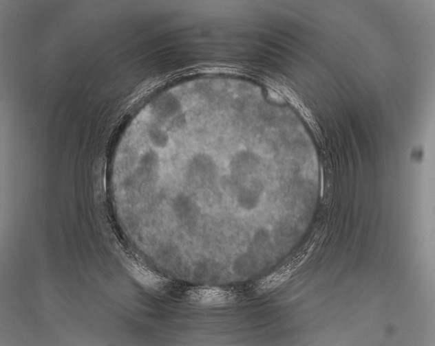 X0000116800253201001291546