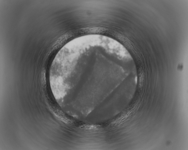 X0000116800254201001291546
