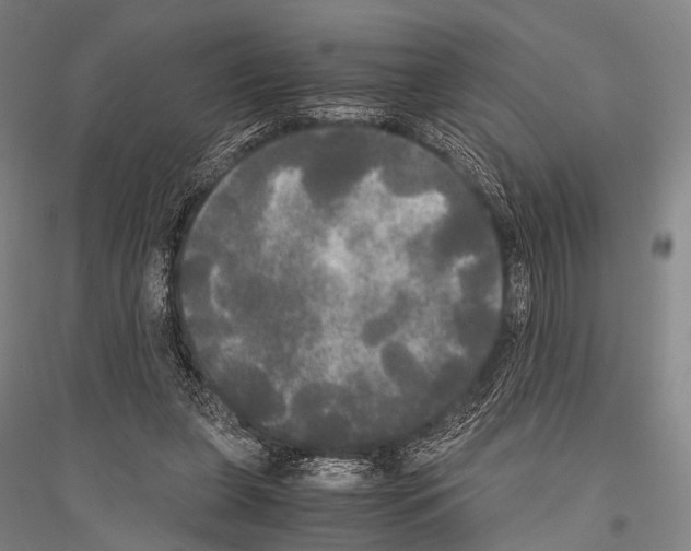 X0000116800255201001291546