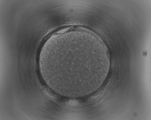 X0000116800256201001291546