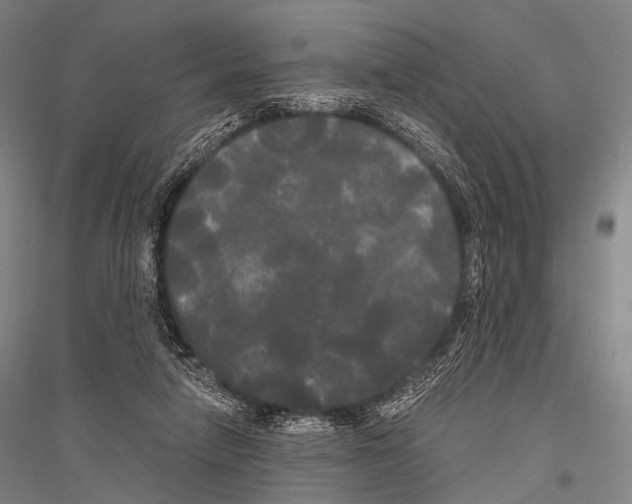 X0000116800258201001291546