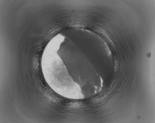 X0000116800259201001291546
