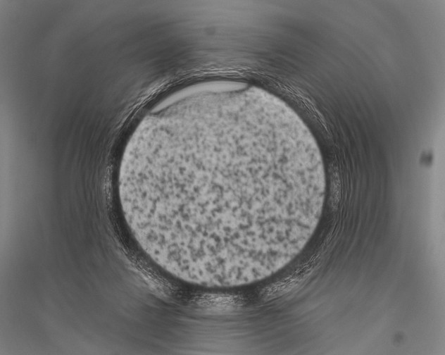 X0000116800260201001291546