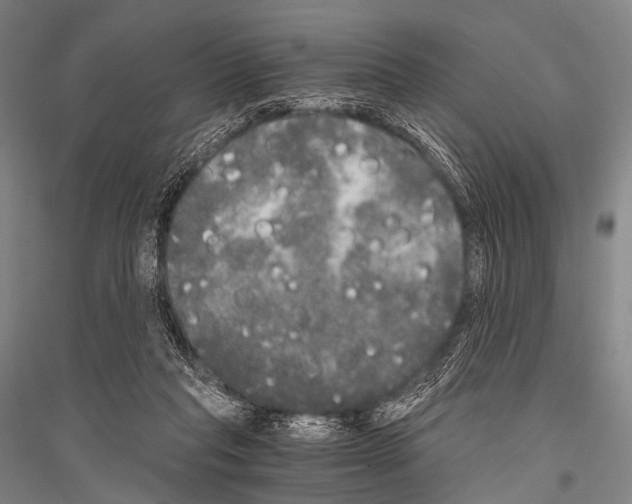 X0000116800261201001291546