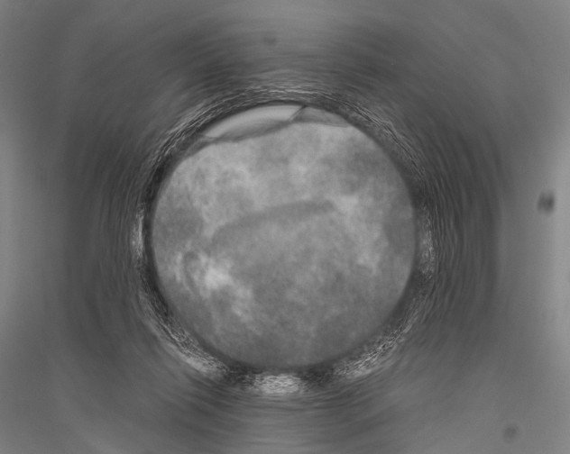 X0000116800262201001291546